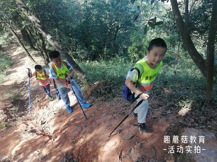 IMG_20211106_141712.jpg IMG_20211106_141712.jpg