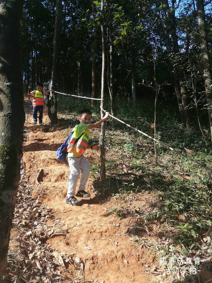 IMG_20211106_142709.jpg IMG_20211106_142709.jpg