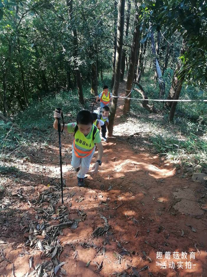 IMG_20211106_144509.jpg IMG_20211106_144509.jpg