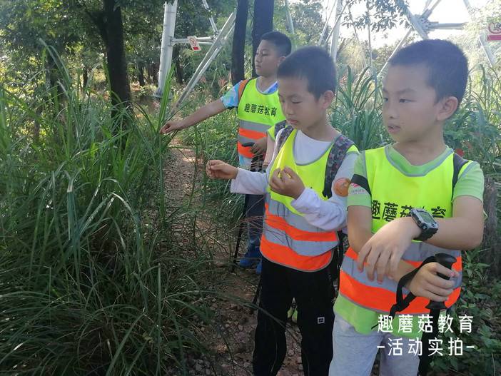 IMG_20211106_145138.jpg IMG_20211106_145138.jpg