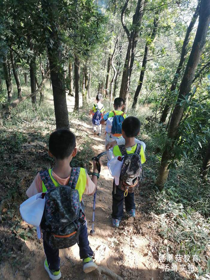 IMG_20211106_145545.jpg IMG_20211106_145545.jpg