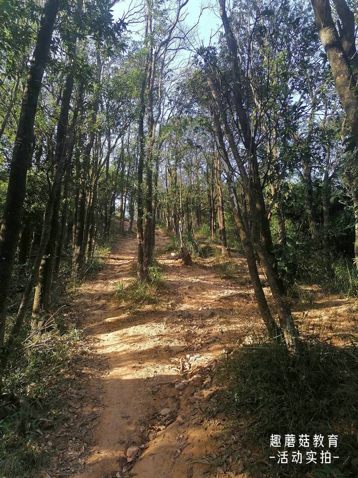 IMG_20211106_160215.jpg IMG_20211106_160215.jpg