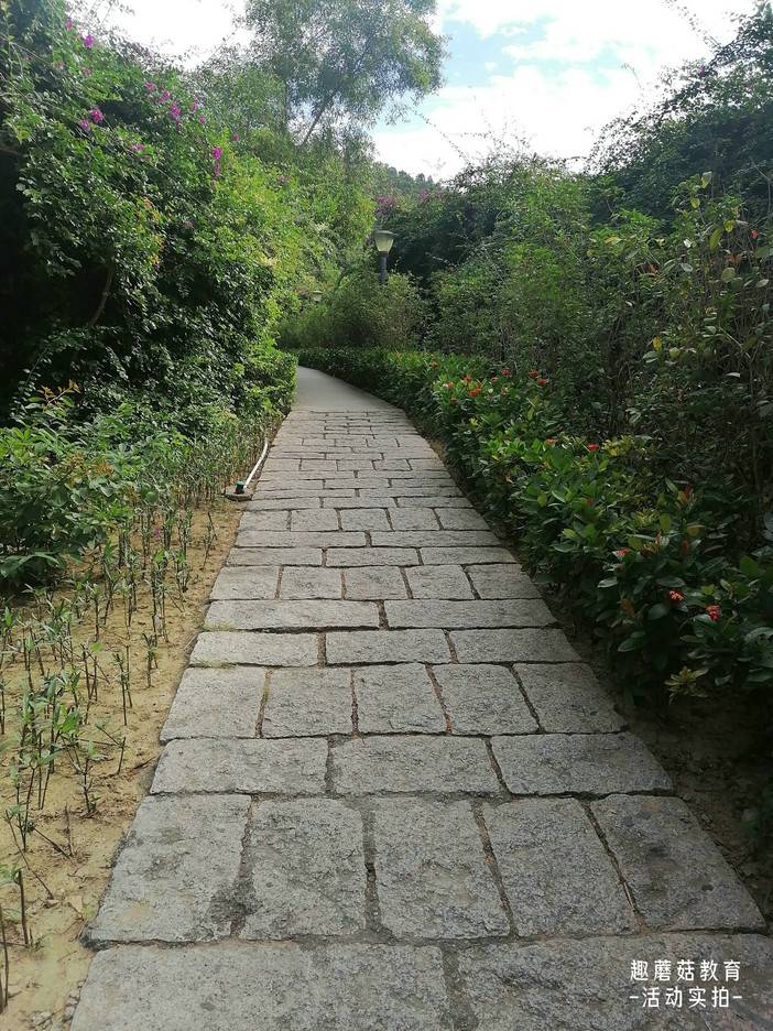 IMG_20211111_093808.jpg IMG_20211111_093808.jpg