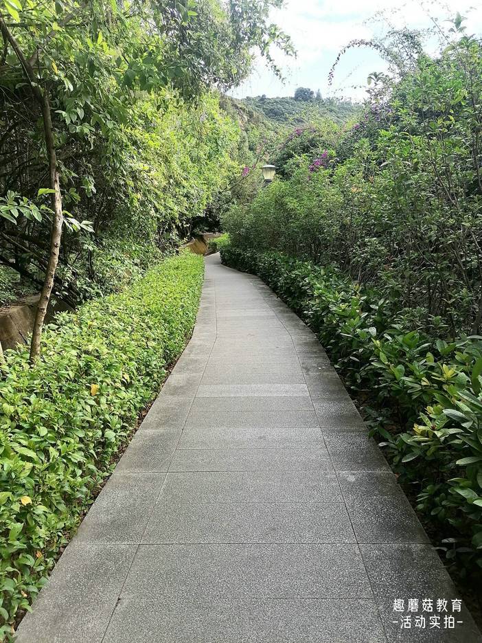 IMG_20211111_093851.jpg IMG_20211111_093851.jpg