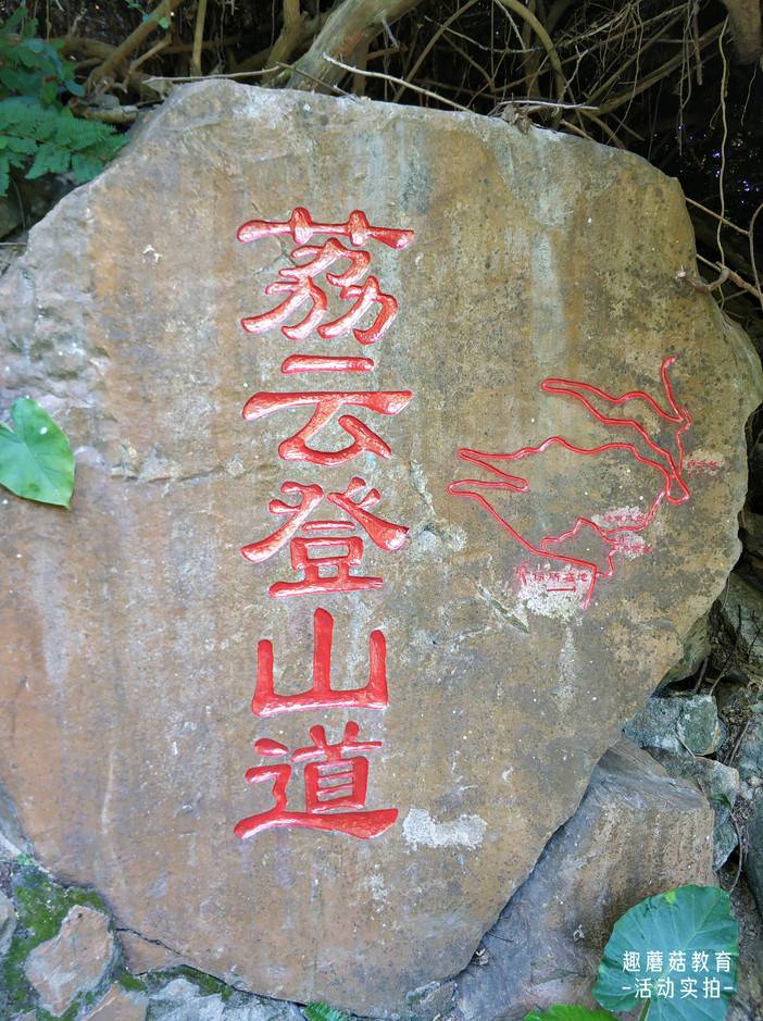 IMG_20211120_094037.jpg IMG_20211120_094037.jpg