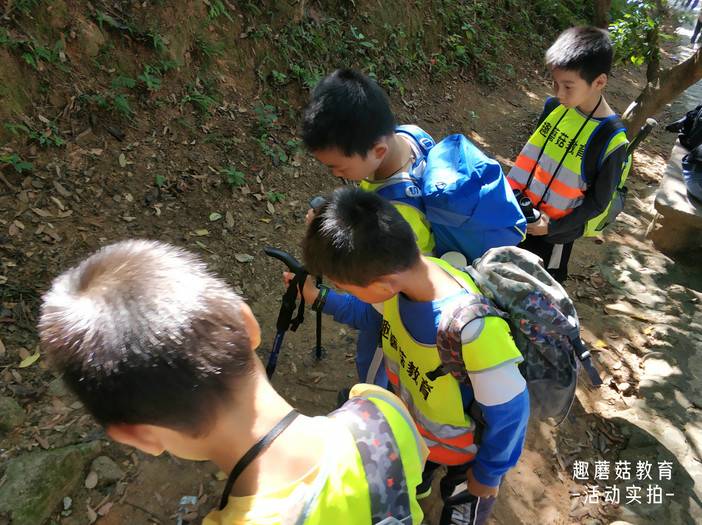 IMG_20211120_111941.jpg IMG_20211120_111941.jpg