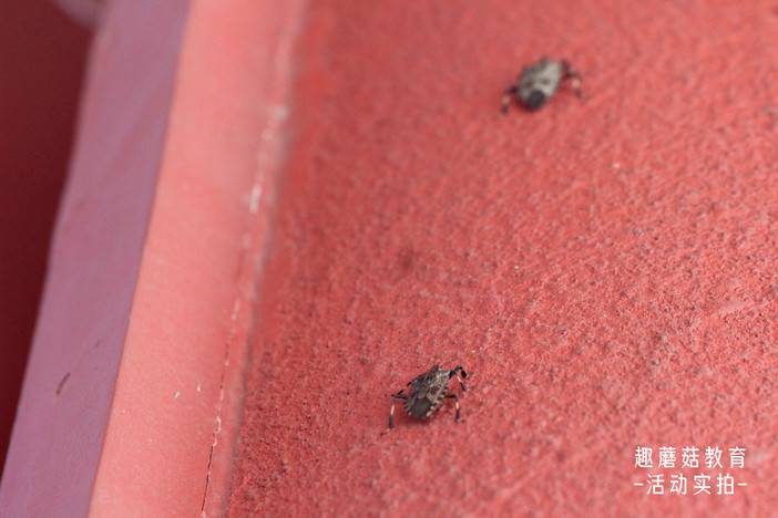 IMG_9565.JPG IMG_9565.JPG