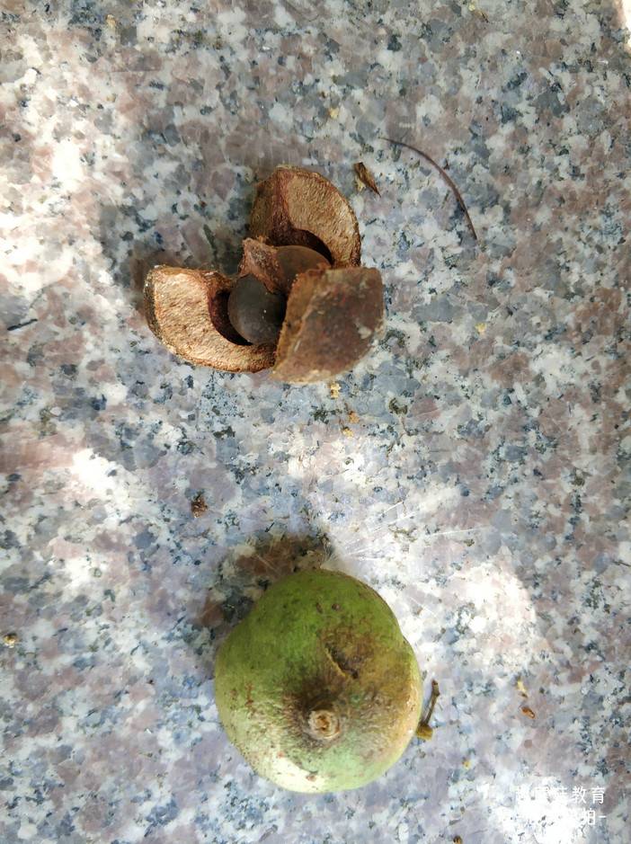 IMG_20211120_135820.jpg IMG_20211120_135820.jpg