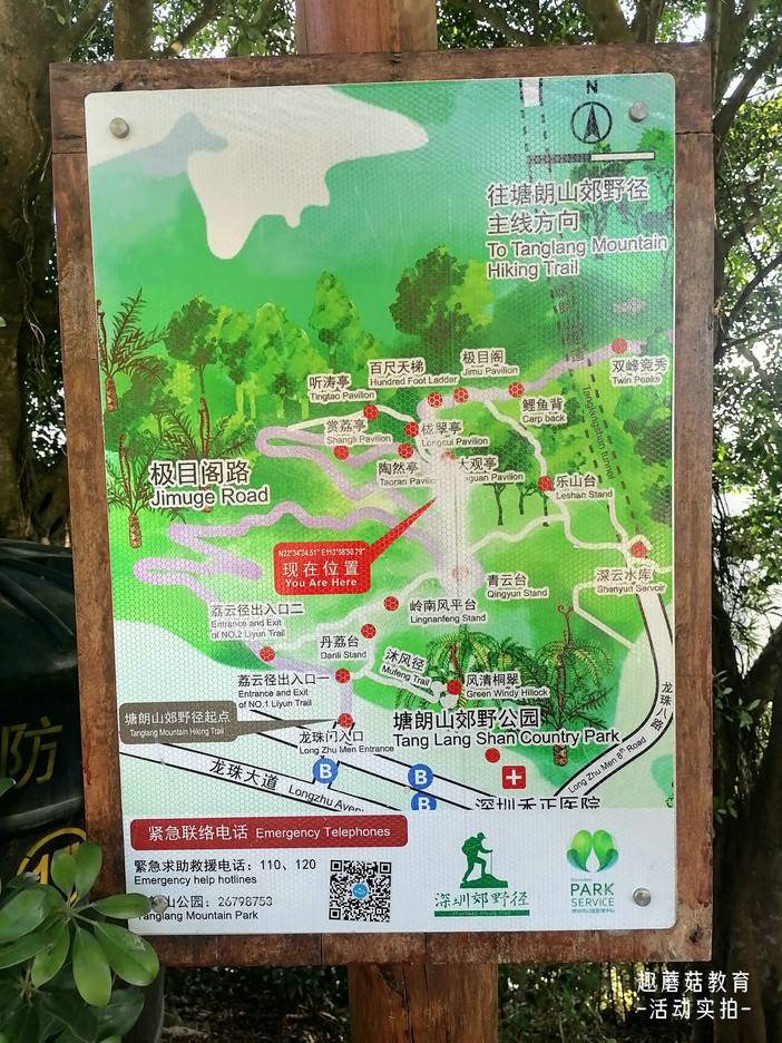 IMG_20211111_105318.jpg IMG_20211111_105318.jpg