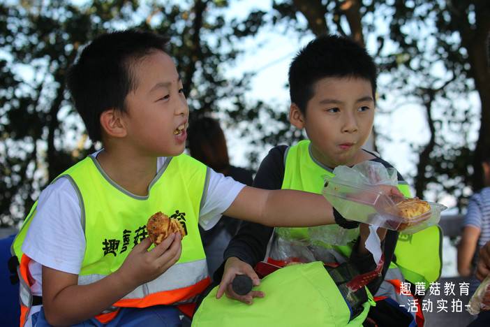 IMG_9528.JPG IMG_9528.JPG