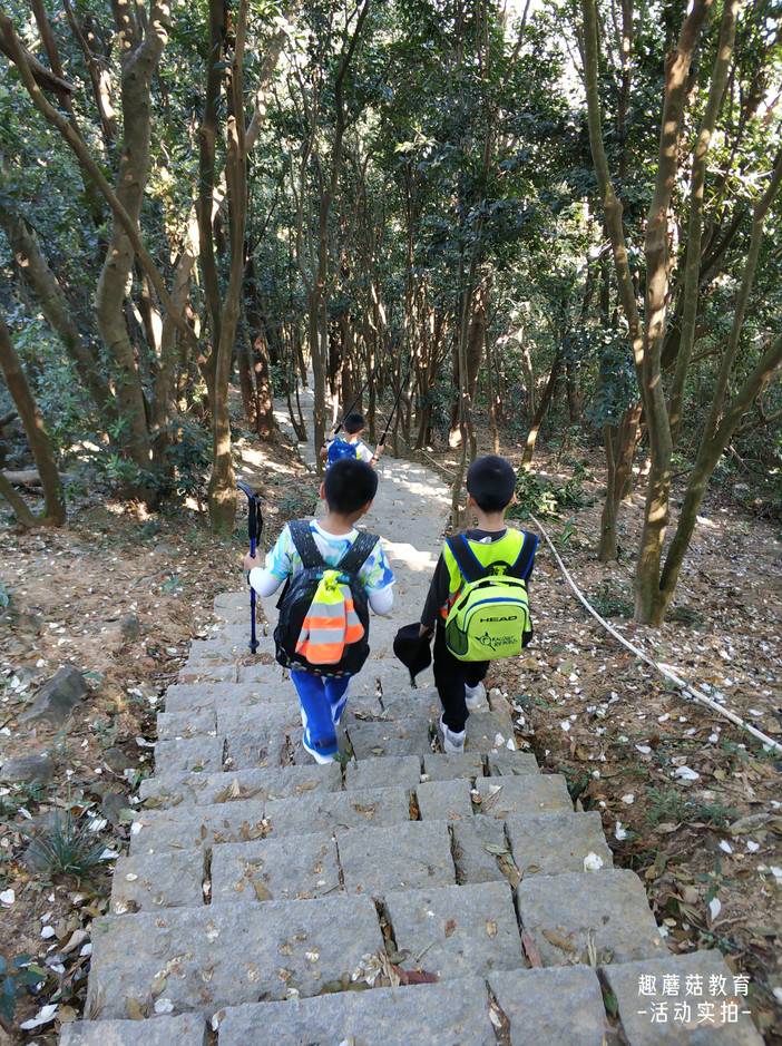 IMG_20211120_135010.jpg IMG_20211120_135010.jpg