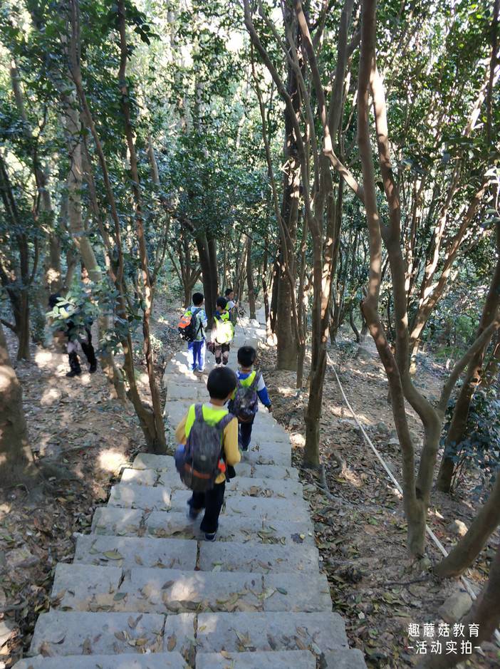 IMG_20211120_135105.jpg IMG_20211120_135105.jpg