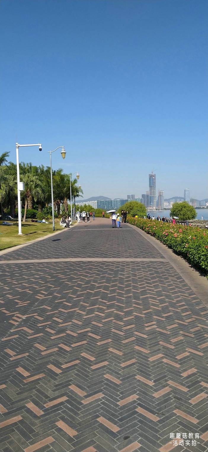 IMG_20211204_135829.jpg IMG_20211204_135829.jpg