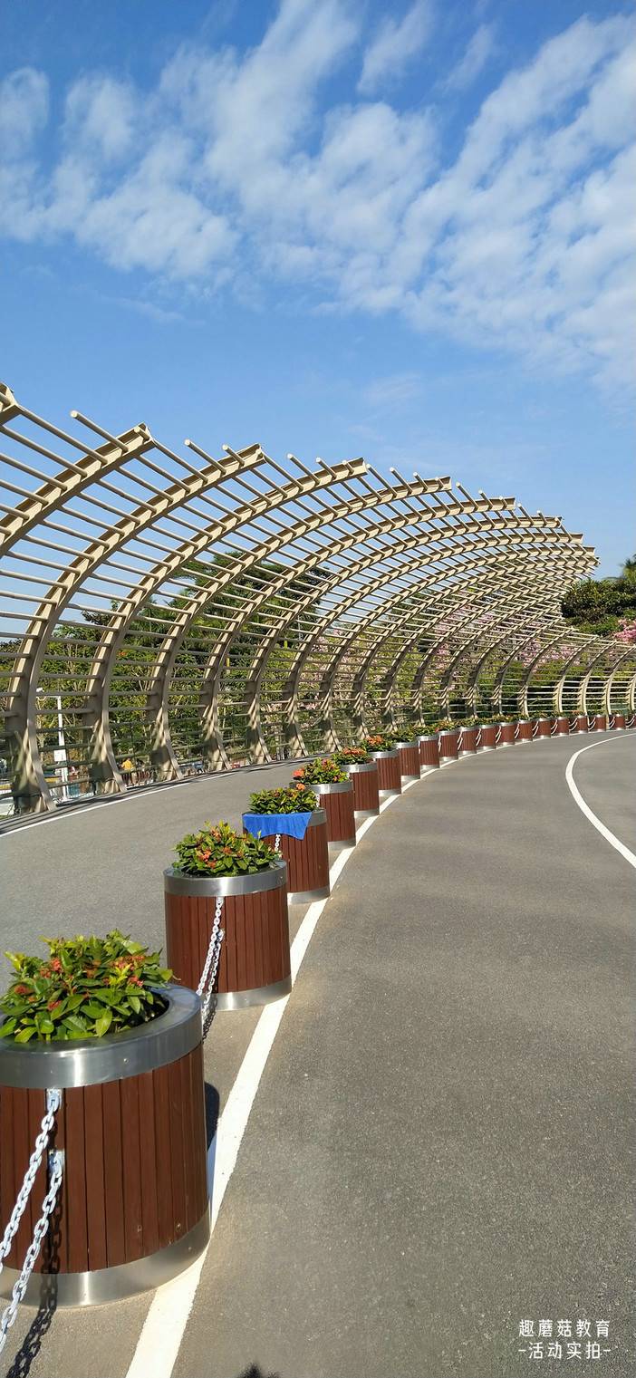 IMG_20211204_144444.jpg IMG_20211204_144444.jpg