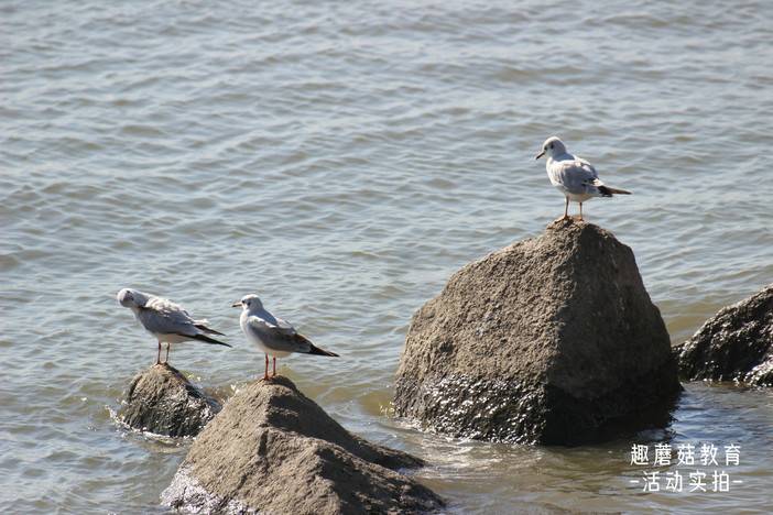 IMG_1721.JPG IMG_1721.JPG