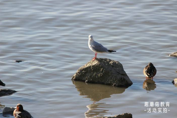 IMG_1619.JPG IMG_1619.JPG