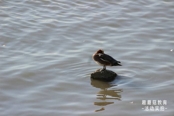 IMG_1634.JPG IMG_1634.JPG