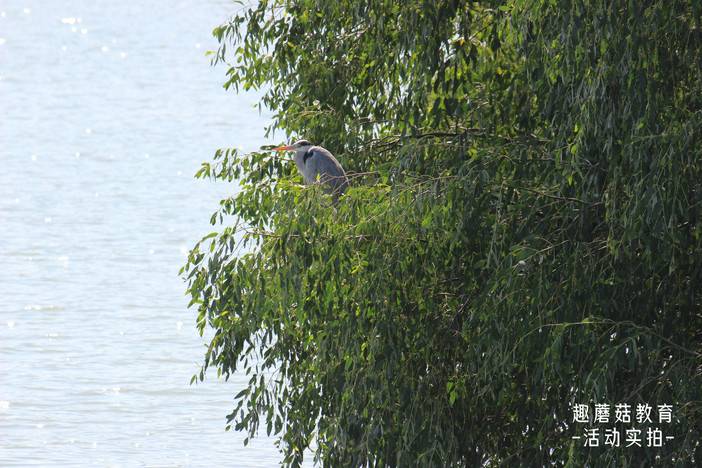 IMG_1758.JPG IMG_1758.JPG