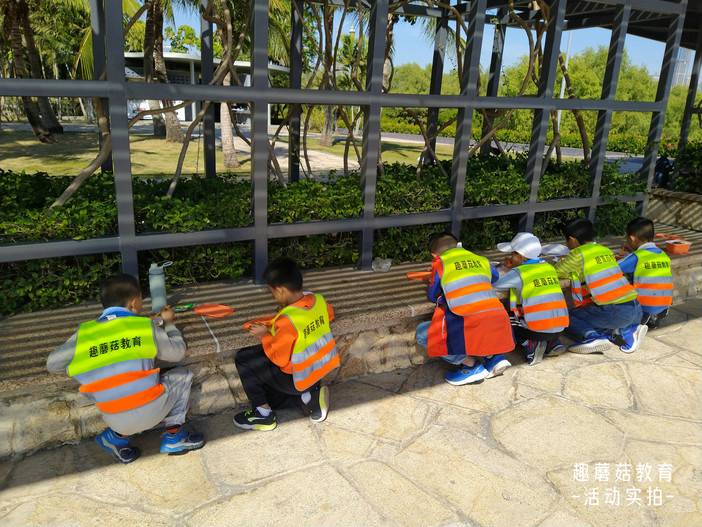 IMG_20211204_130256.jpg IMG_20211204_130256.jpg