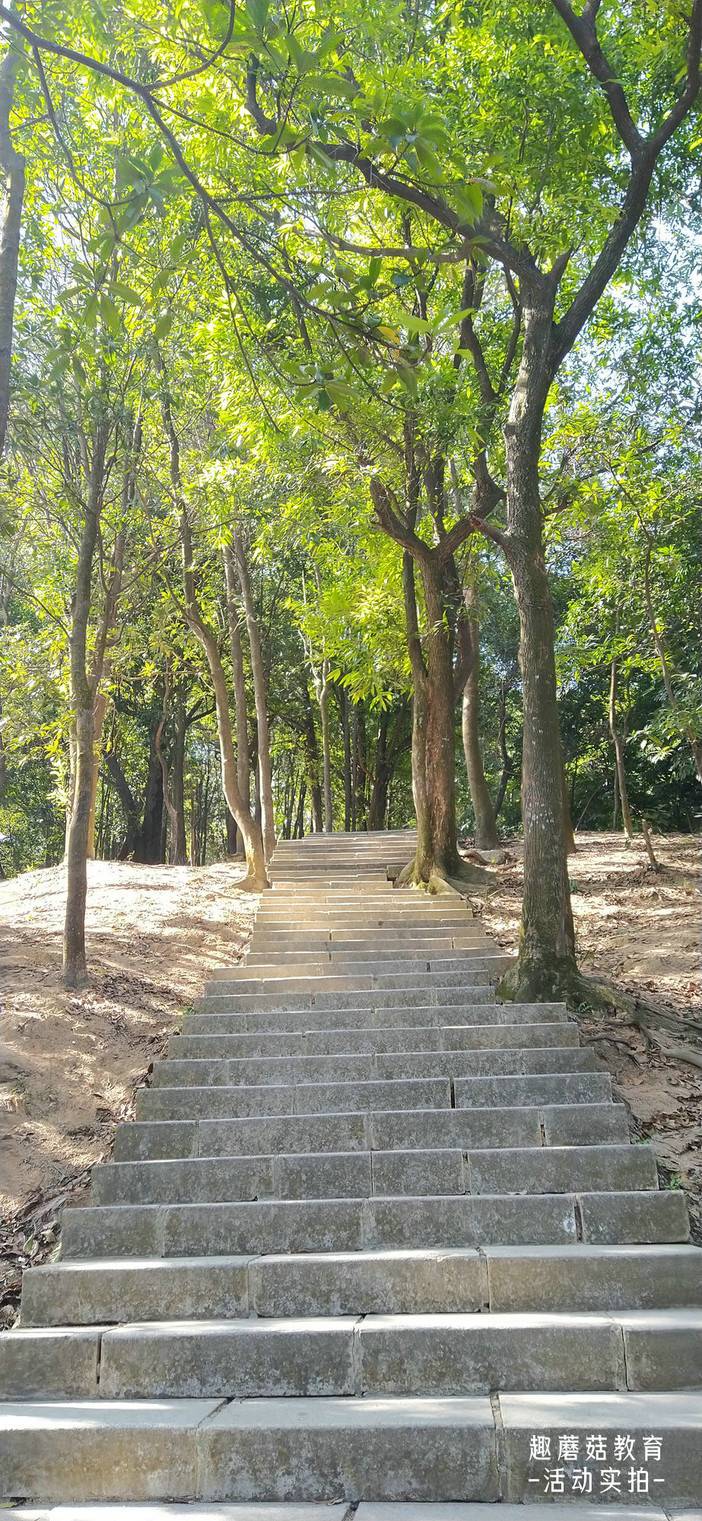 IMG_20211202_111509.jpg IMG_20211202_111509.jpg