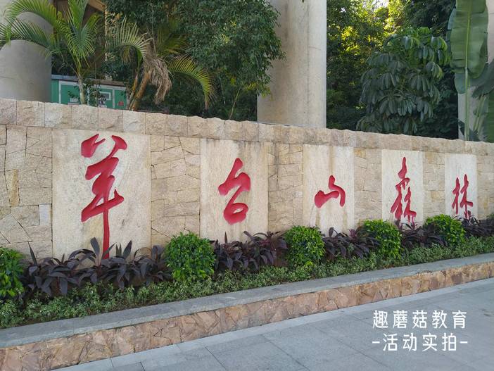 IMG_20211202_100758.jpg IMG_20211202_100758.jpg