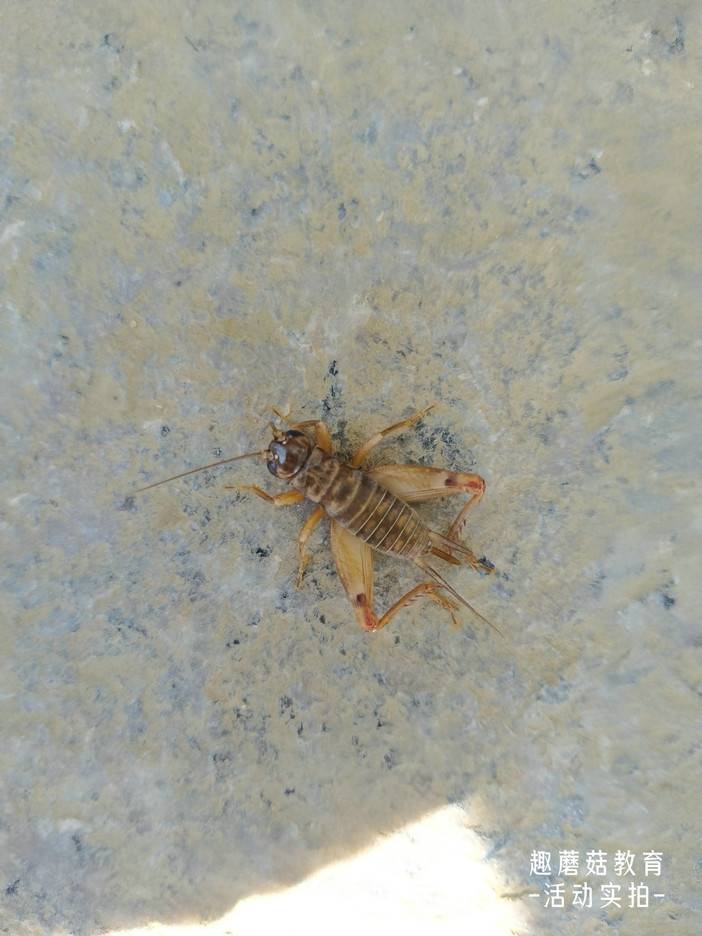 IMG_20211202_144113.jpg IMG_20211202_144113.jpg