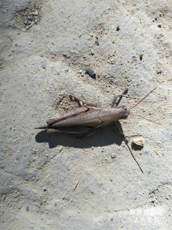 IMG_20211202_123521.jpg IMG_20211202_123521.jpg