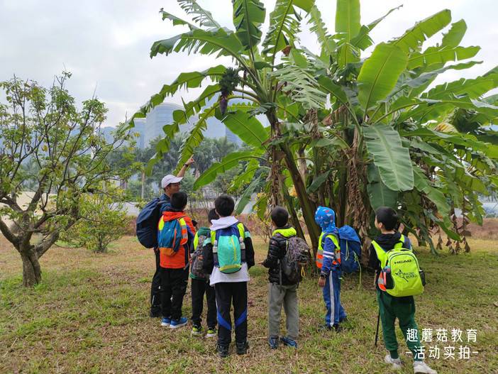 IMG_20220101_095245.jpg IMG_20220101_095245.jpg