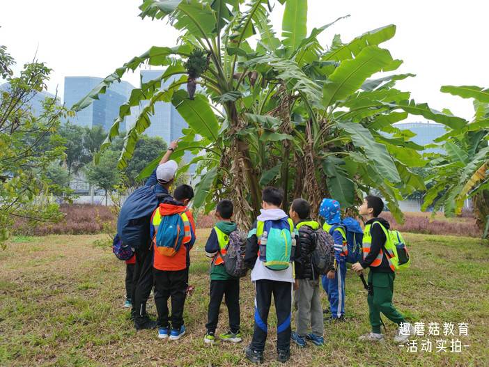 IMG_20220101_095250.jpg IMG_20220101_095250.jpg