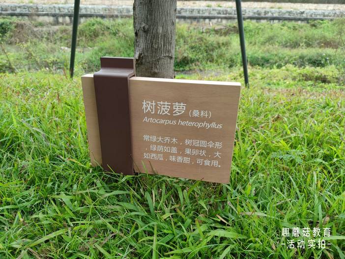 IMG_20220101_095626.jpg IMG_20220101_095626.jpg