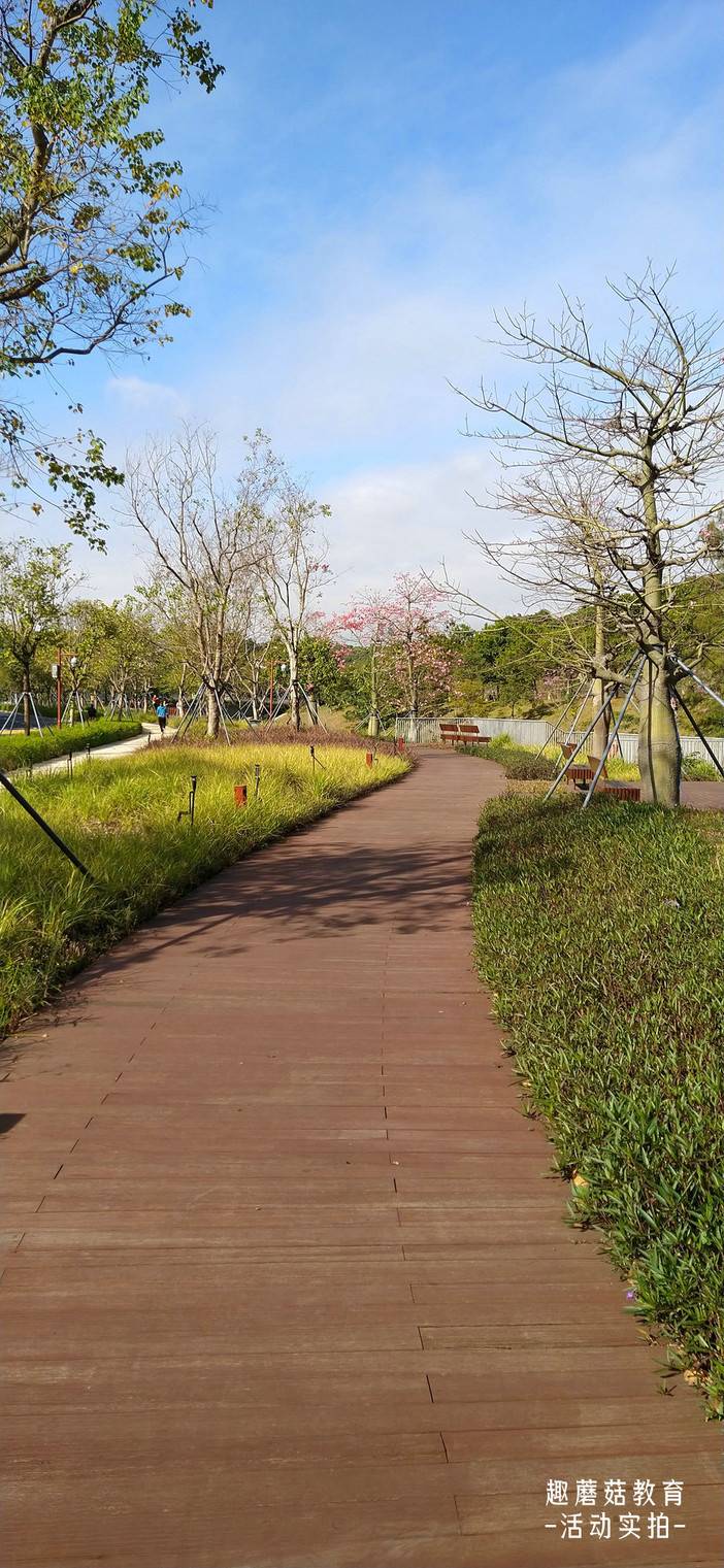 IMG_20211222_100539.jpg IMG_20211222_100539.jpg