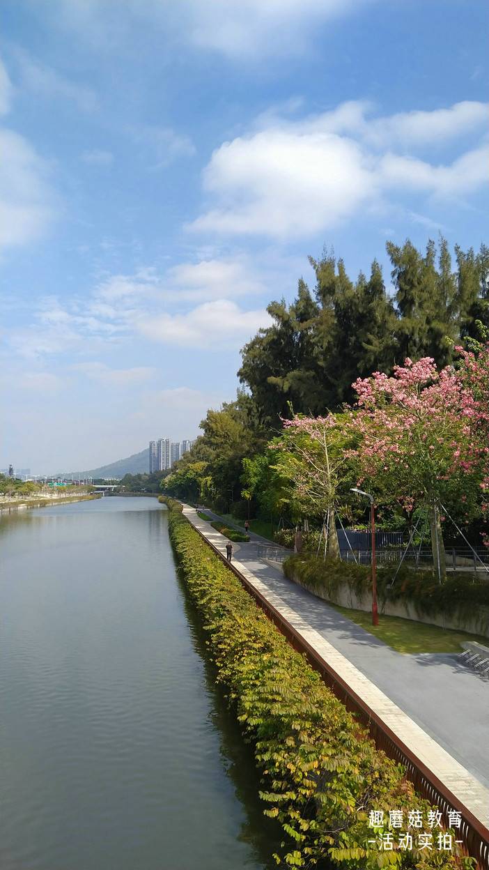 IMG_20211222_122948.jpg IMG_20211222_122948.jpg