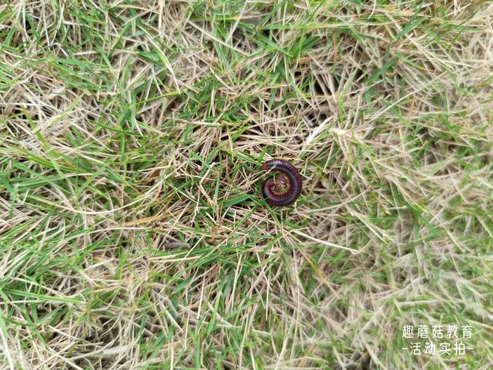 IMG_20220101_132530.jpg IMG_20220101_132530.jpg