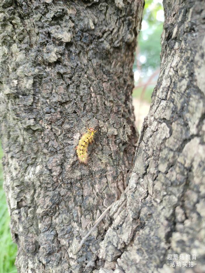 IMG_20220101_133741.jpg IMG_20220101_133741.jpg