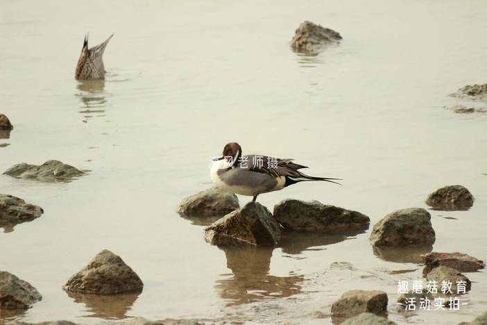 IMG_4429_2.JPG IMG_4429_2.JPG