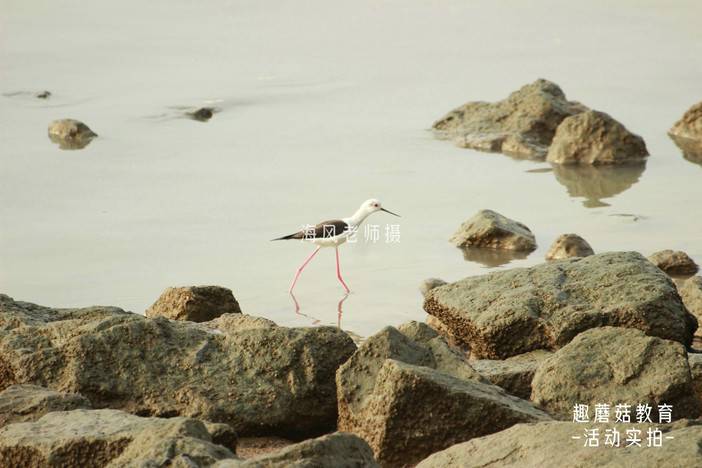 IMG_4464_1.JPG IMG_4464_1.JPG