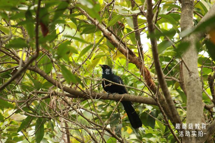 IMG_4477_1.JPG IMG_4477_1.JPG