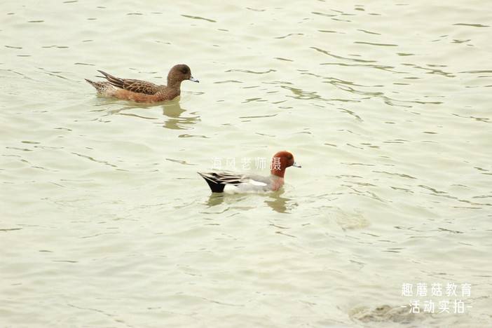 IMG_4561_1.JPG IMG_4561_1.JPG