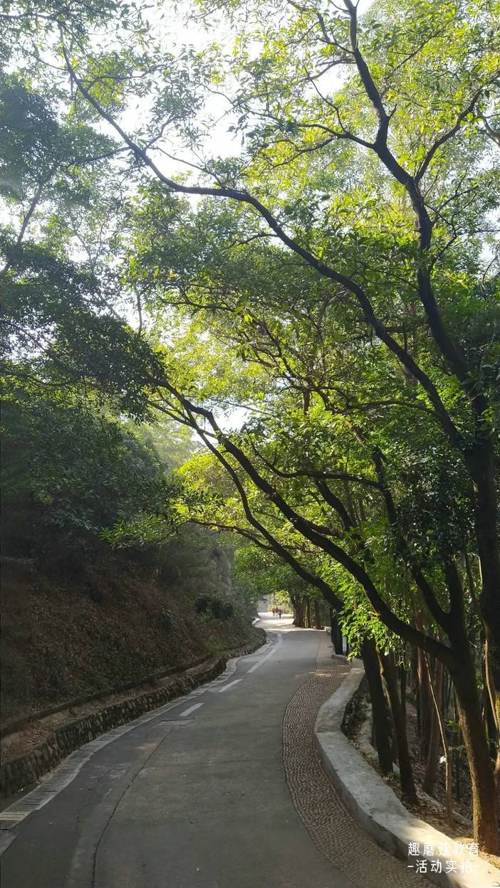 IMG_20211230_135351.jpg 图片