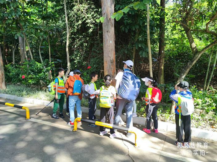 IMG_20220405_094317.jpg IMG_20220405_094317.jpg