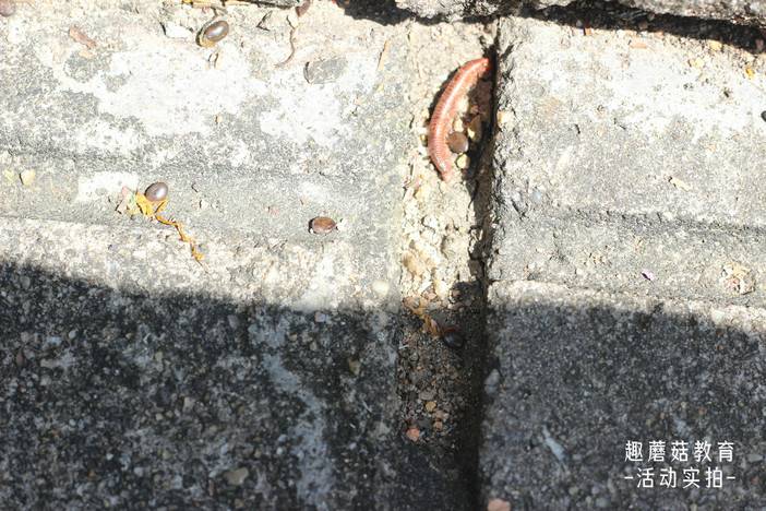 IMG_5348.JPG IMG_5348.JPG