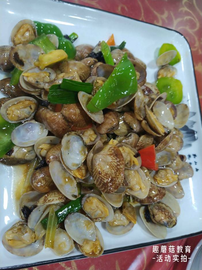 IMG_20220717_183446.jpg IMG_20220717_183446.jpg