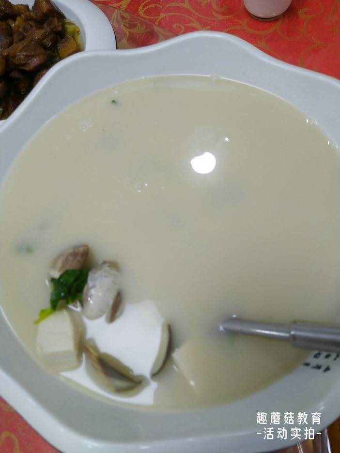 IMG_20220717_122023.jpg IMG_20220717_122023.jpg