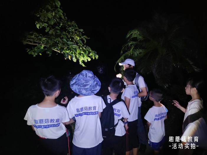 IMG_20220718_201048.jpg IMG_20220718_201048.jpg