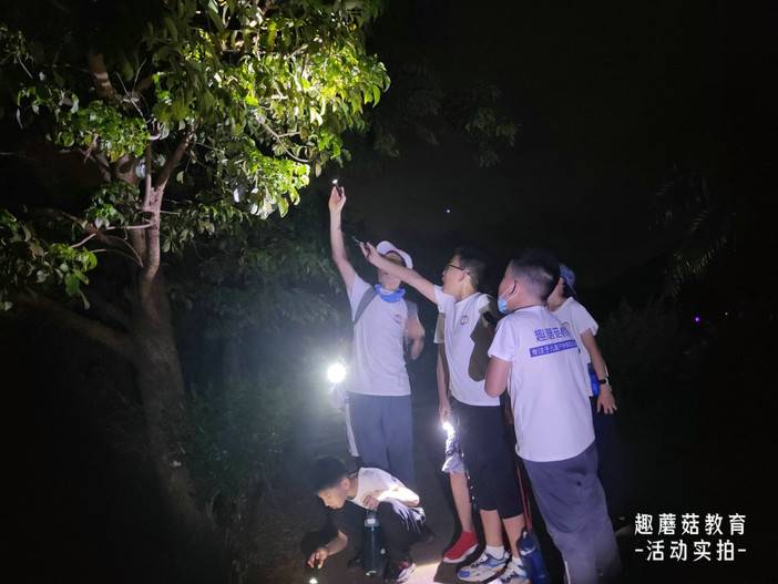 IMG_20220718_201558.jpg IMG_20220718_201558.jpg