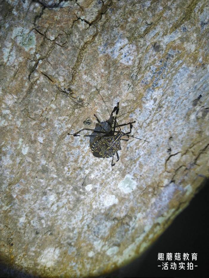 IMG_20220718_195058.jpg IMG_20220718_195058.jpg