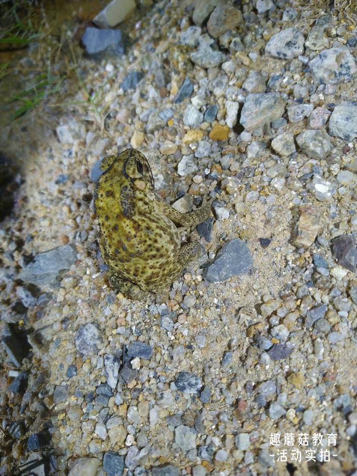 IMG_20220718_195505.jpg IMG_20220718_195505.jpg