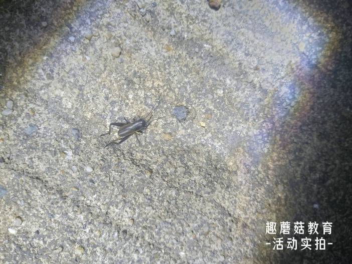 IMG_20220718_195645.jpg IMG_20220718_195645.jpg