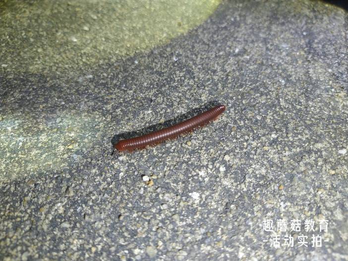 IMG_20220718_195939.jpg IMG_20220718_195939.jpg