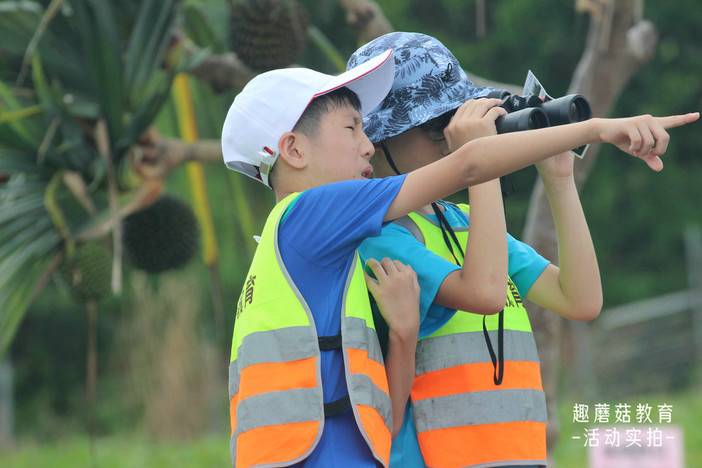 IMG_5203.JPG IMG_5203.JPG